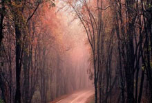 股票配资股票配资:十大杠杆炒股指平台-【风口研报】马斯克大动作押注太空AI算力  商业航天产业链或迎加速发展机遇